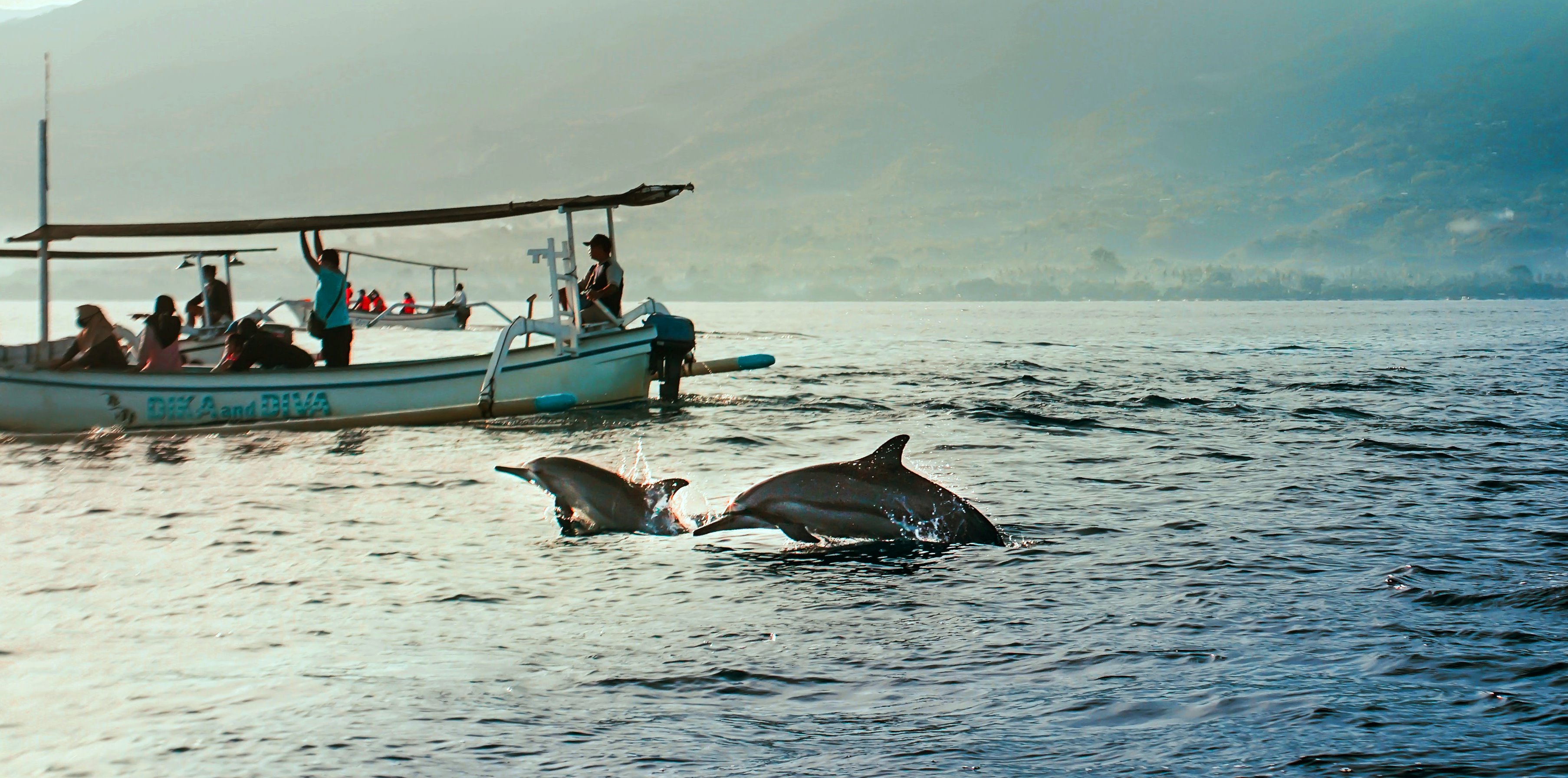 Dubai Musandam Oman Tour